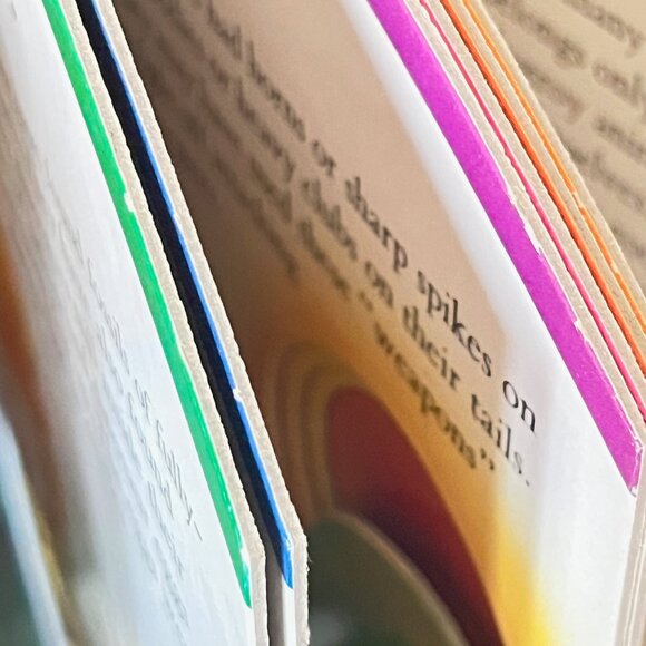 Dinosaur books for younger kids - Set of 3 - Picture 3 of 10